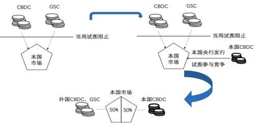 外币取代现象：2020年10月IMF《跨境支付的数字货币：宏观金融的影响》报告解读