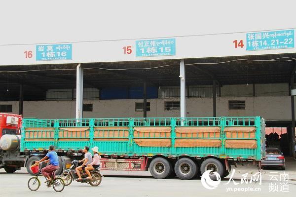 中缅跨境农业 水涨荷花高