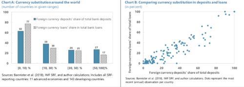 外币取代现象：2020年10月IMF《跨境支付的数字货币：宏观金融的影响》报告解读